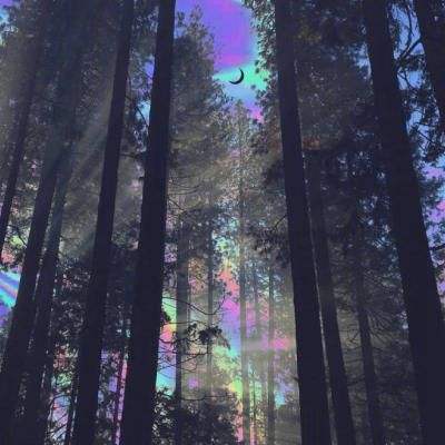 麻将胡了app下载手机版